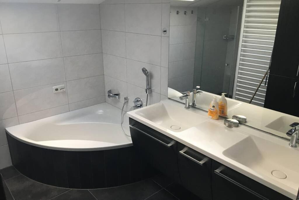 Ferienwohnung Appartement Am Schilf Xl Zell am See Eksteriør bilde