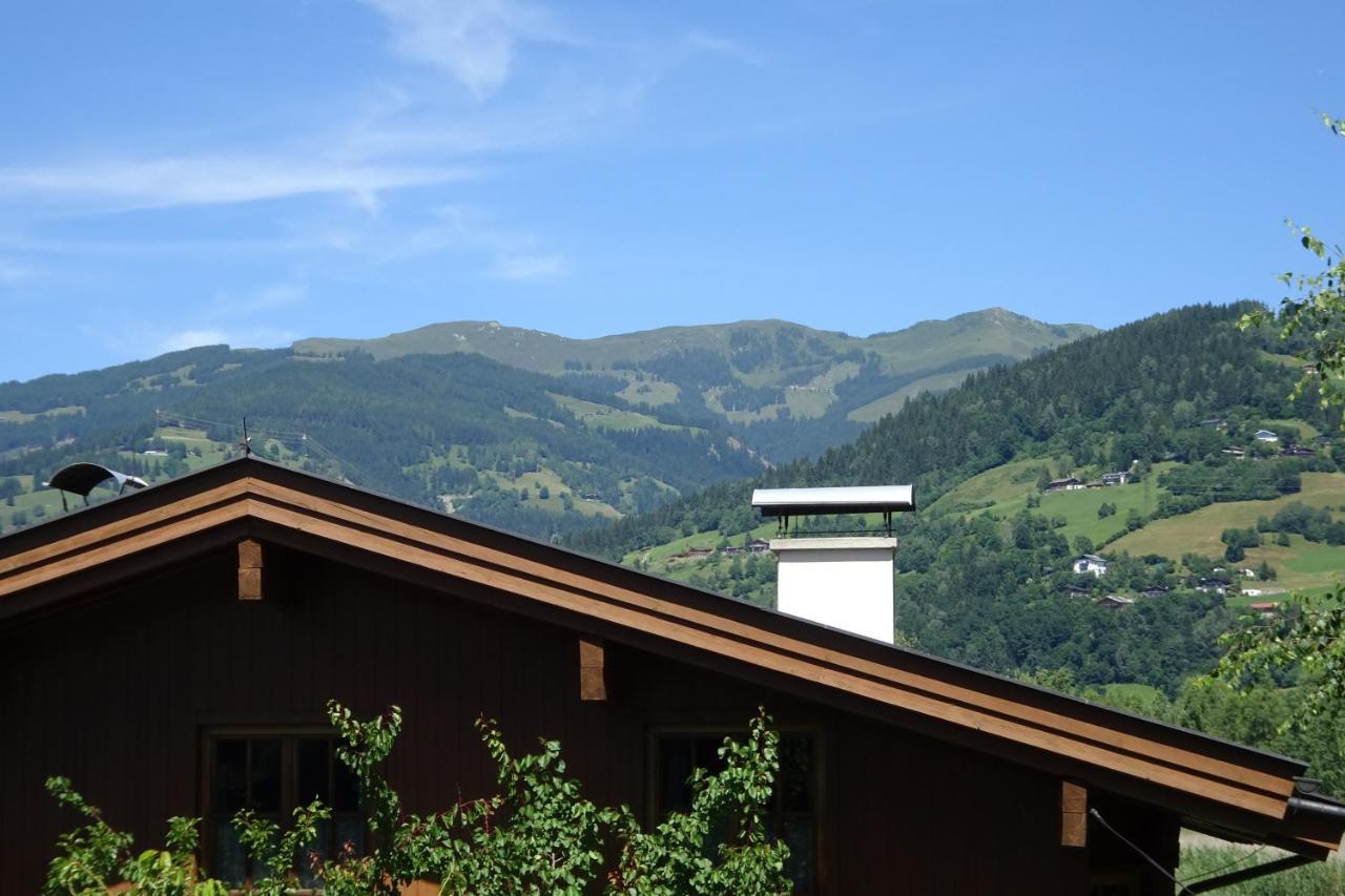 Ferienwohnung Appartement Am Schilf Xl Zell am See Eksteriør bilde